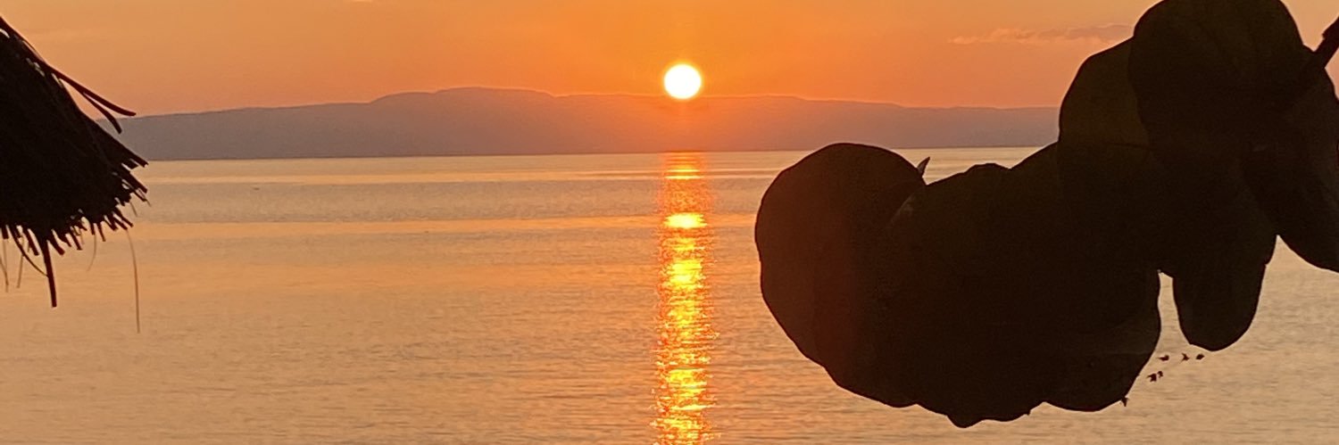 sandranoeln's profile banner image