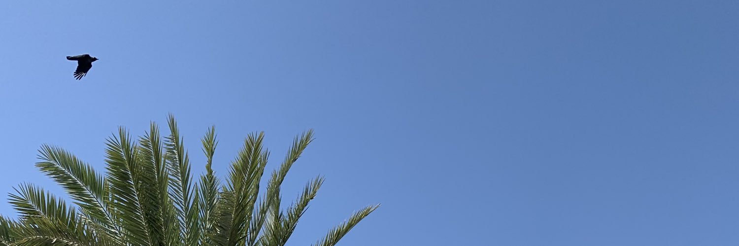 OhoodMubark's profile banner image