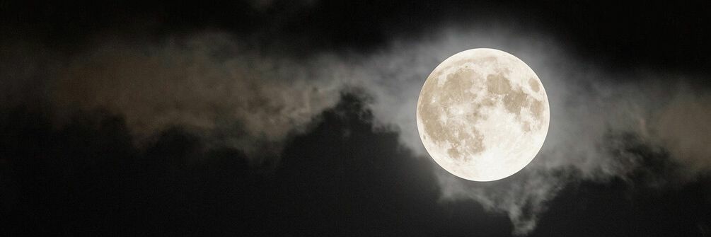 الشوق MßŚ banner