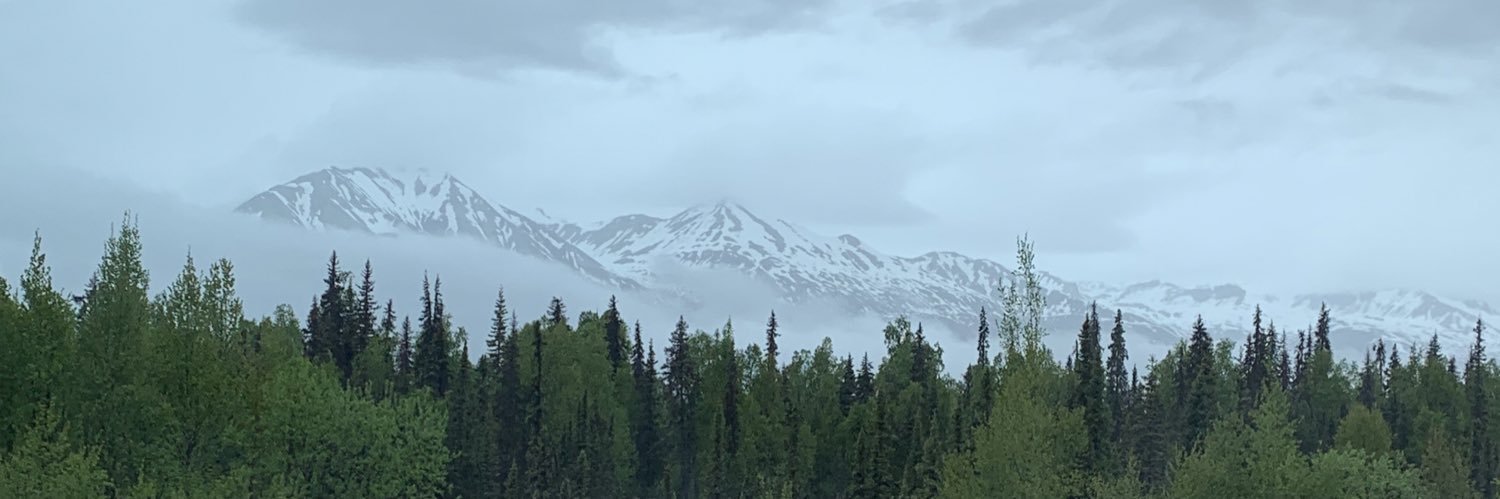 Colleen O'Neil banner