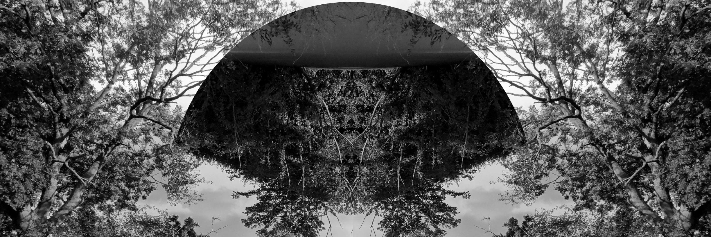 Benjamin_Hordos's profile banner image