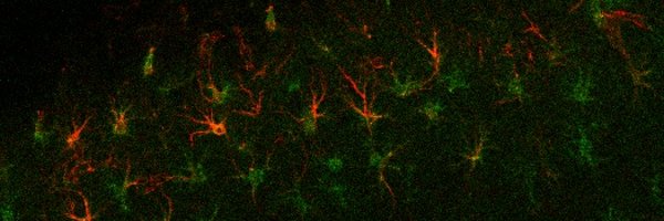 Fowler_JH Profile Banner