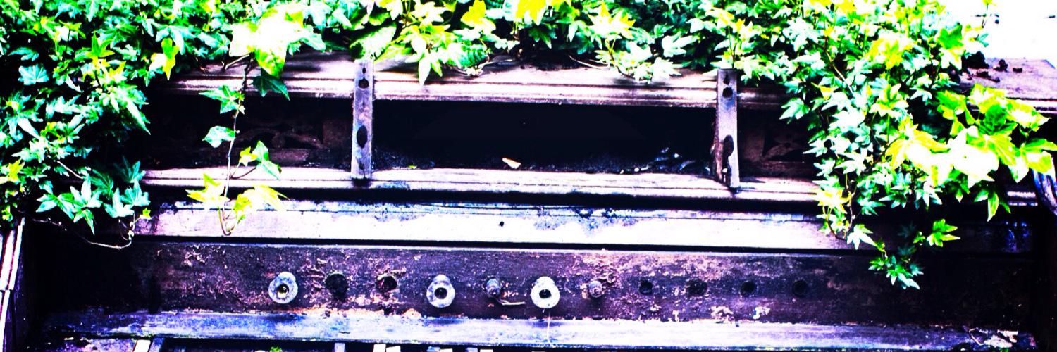 SarahHeavrin's profile banner image