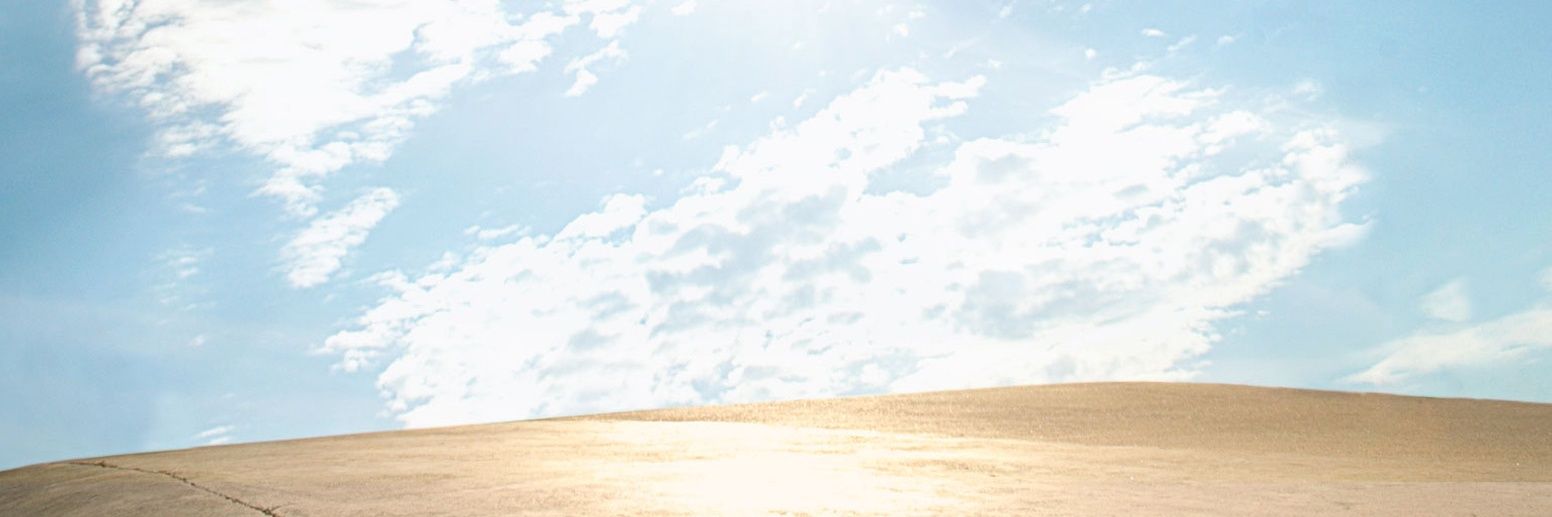 Guillermo Rodrigo banner