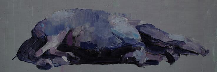 AndrewMunoz5's profile banner image