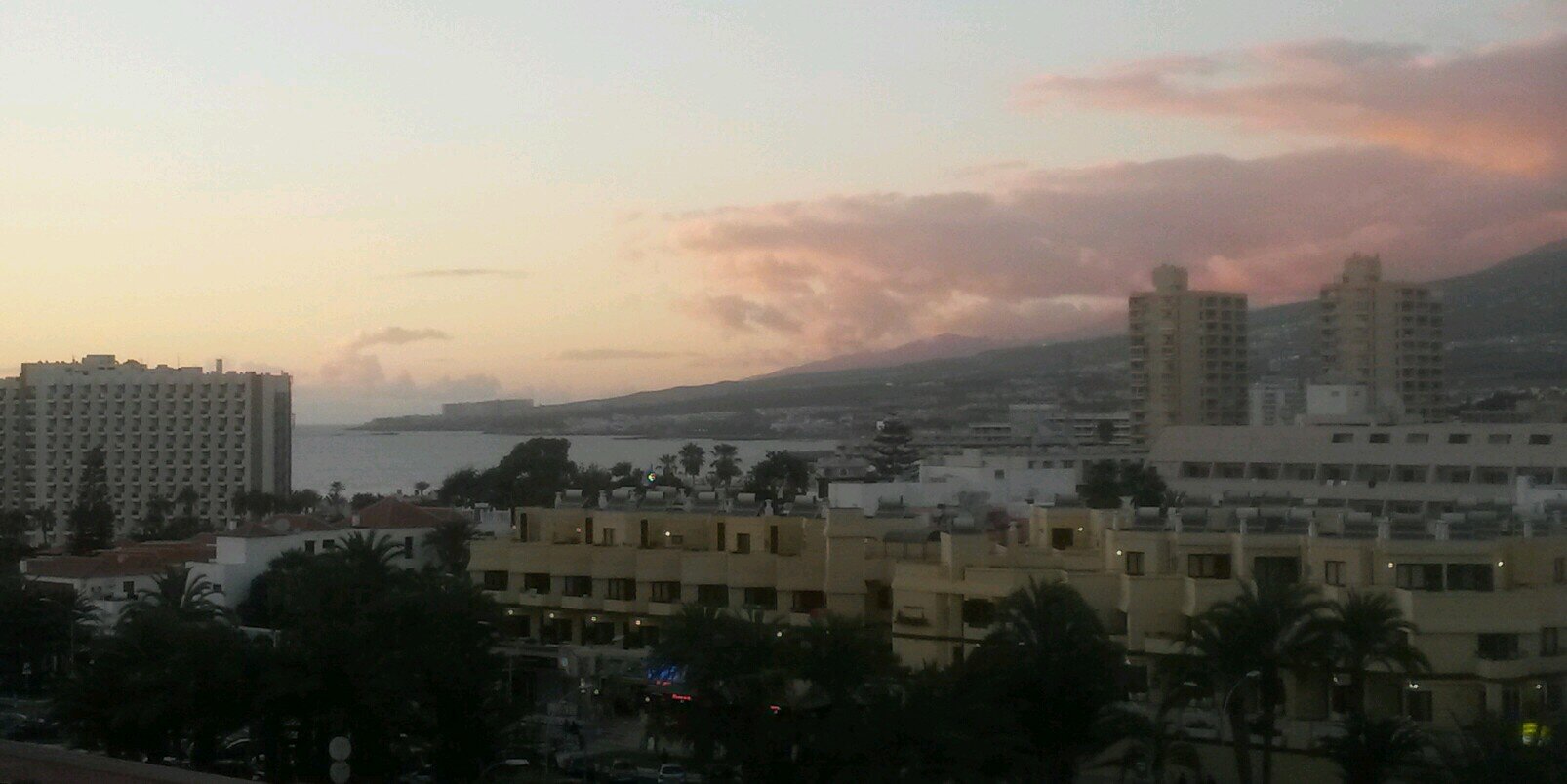 Debbie Edgell banner