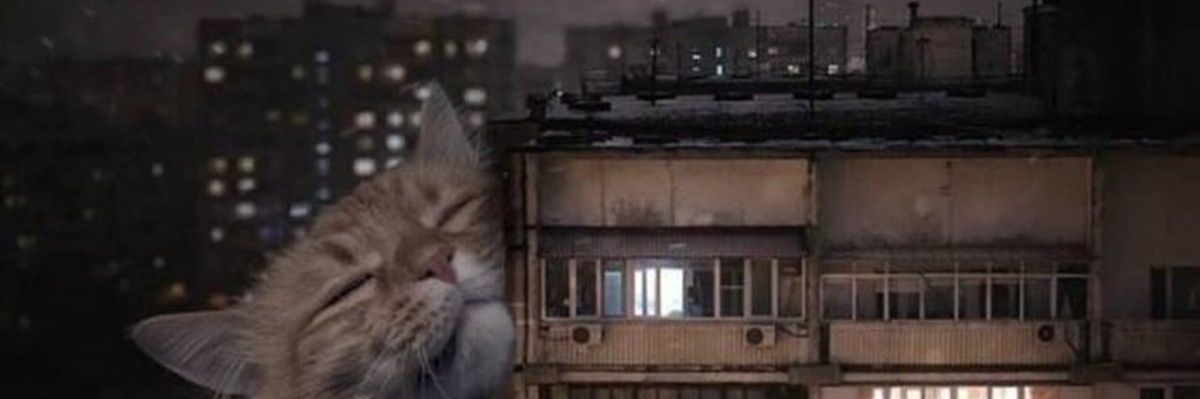 iron__hydroxide's profile banner image
