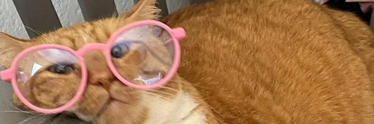 Blancakevin's profile banner image