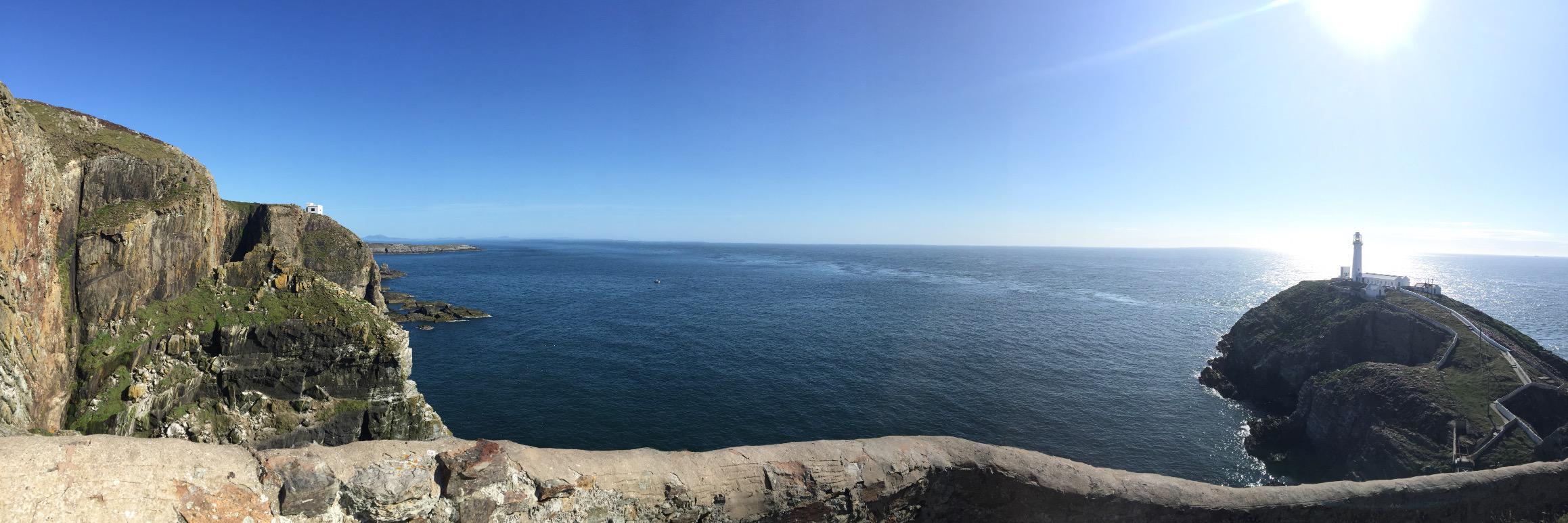 Sergio Castellanos-Gamboa, PhD banner