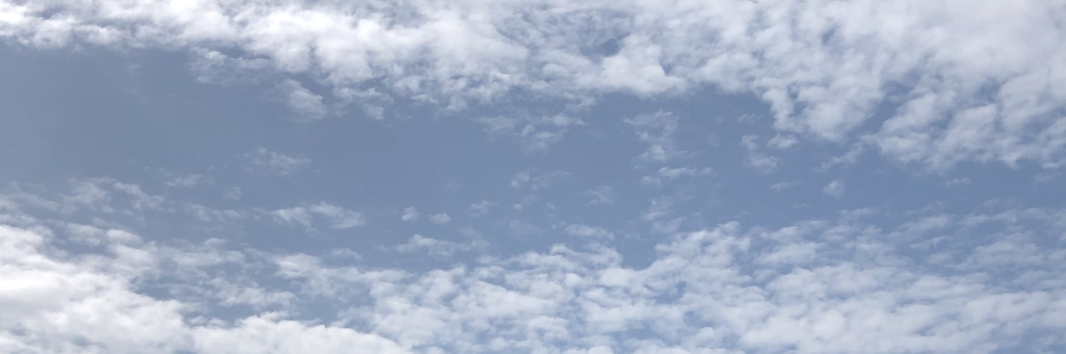 Alex Fobbester banner