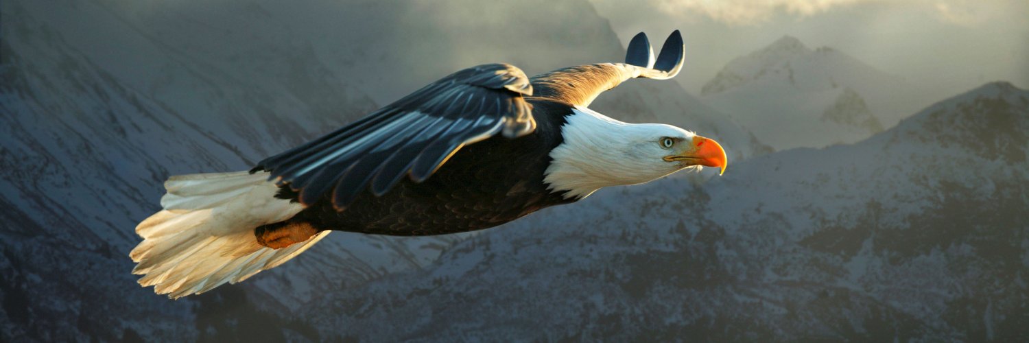 danilo_cruz's profile banner image