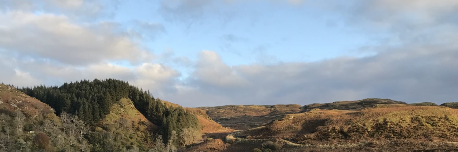 NonbinarySégdae 🏳️‍🌈 (they/them) banner