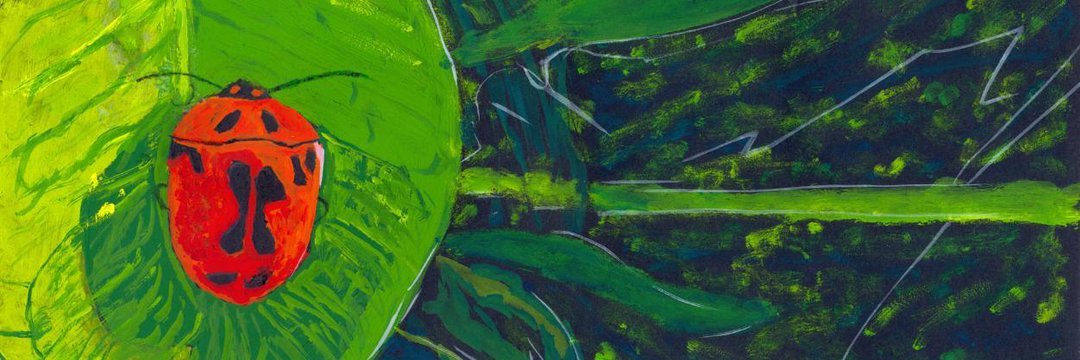 Sanchoh's profile banner image