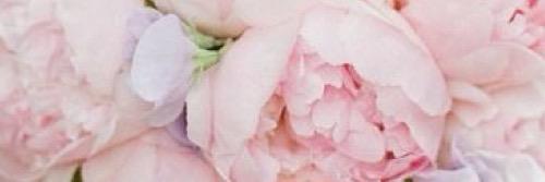 MirandaBroadway's profile banner image