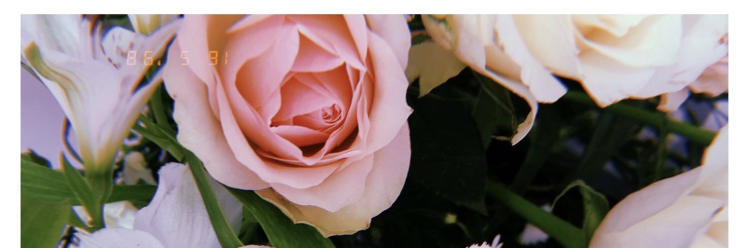 Hattyoxo's profile banner image