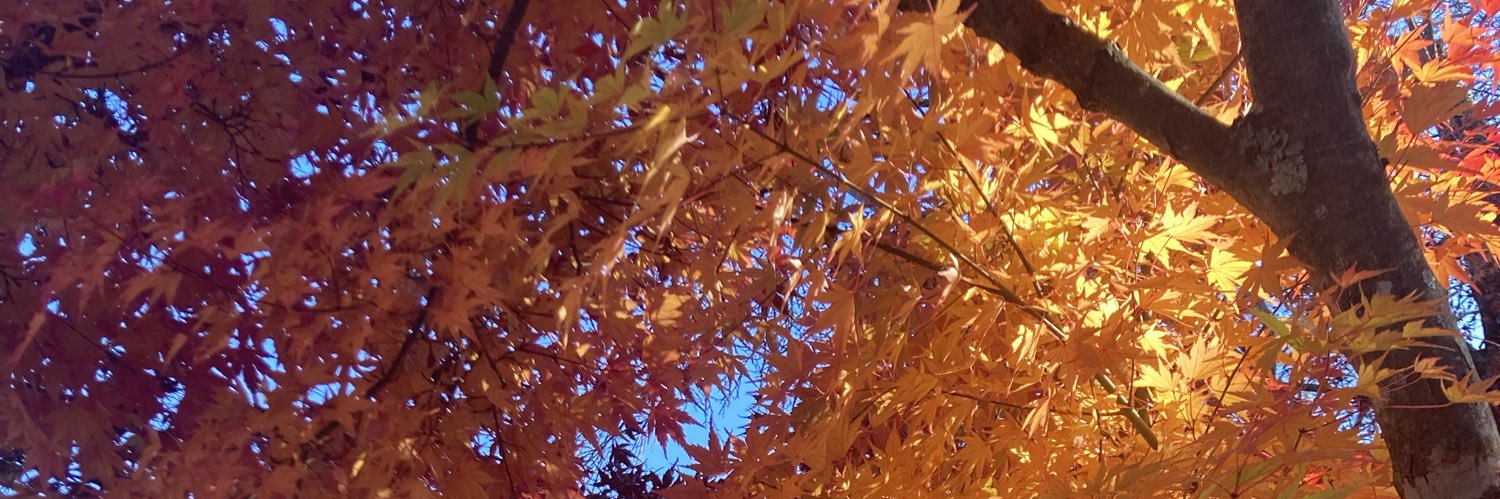 torazawa23's profile banner image