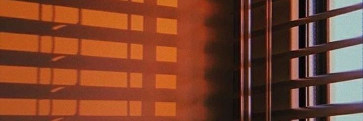dinals__'s profile banner image