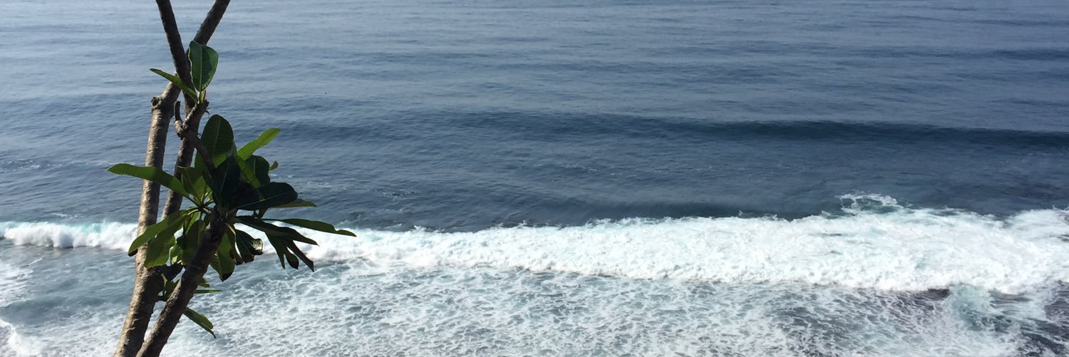 katyokane's profile banner image