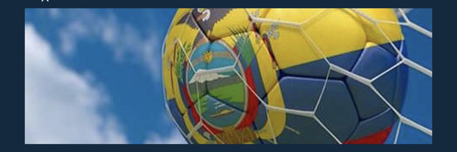 Roberto Guevara Llanos banner