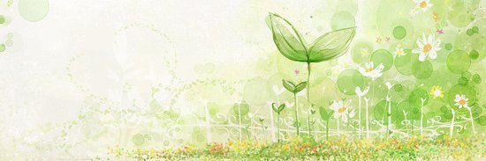 taboobt's profile banner image