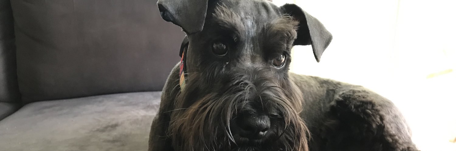 agilemagi's profile banner image