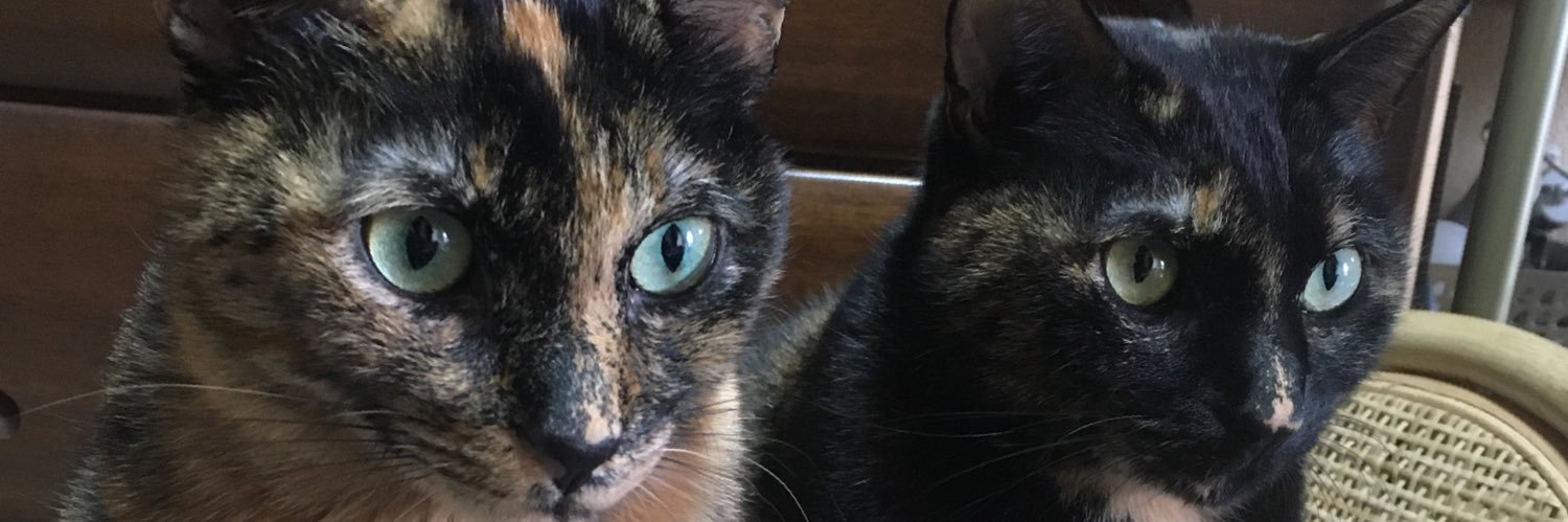 やま@AP撃ち banner