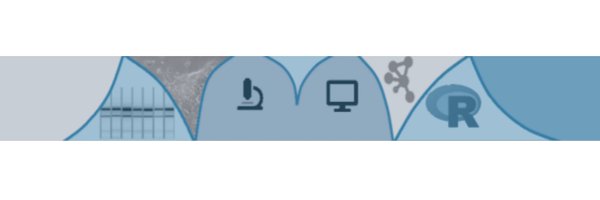 VMournet Profile Banner
