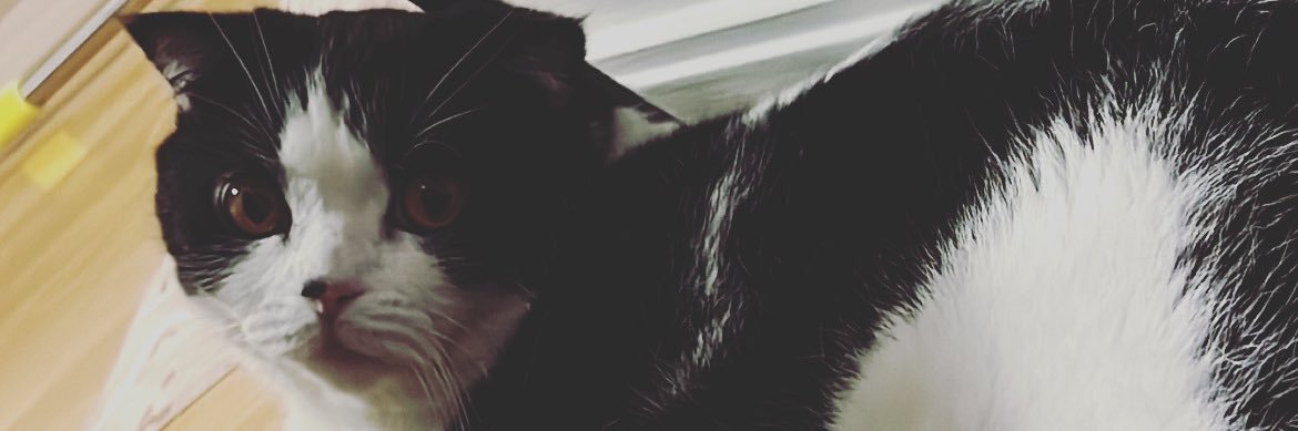 tripplebbb_'s profile banner image