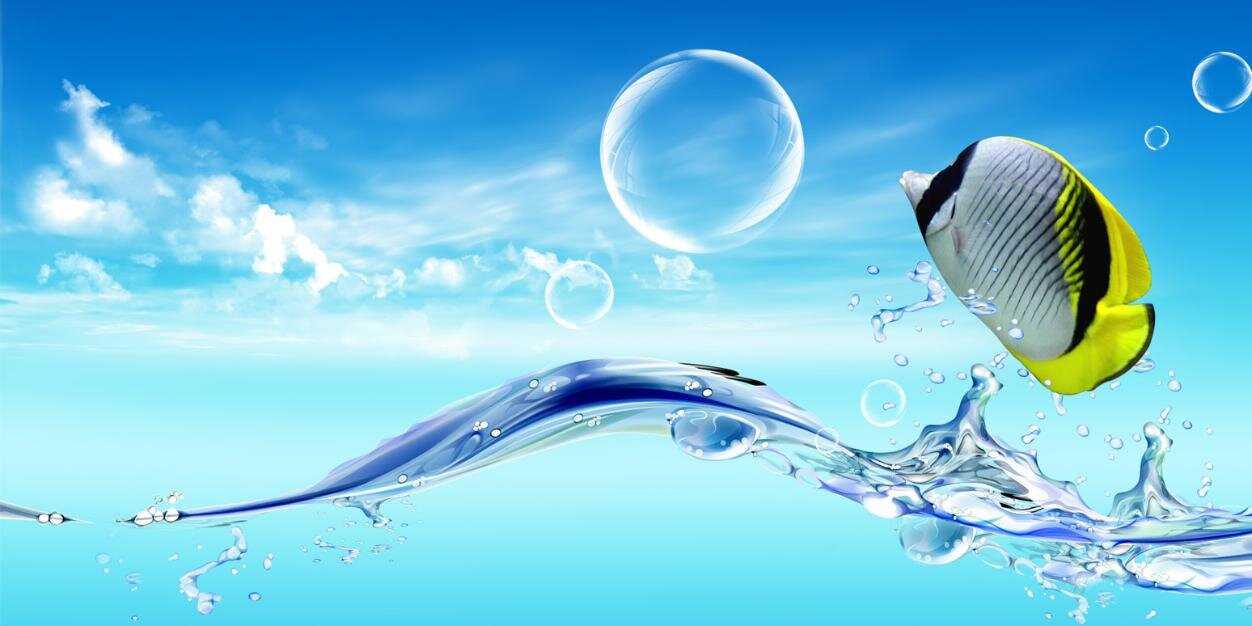 oraboyt's profile banner image