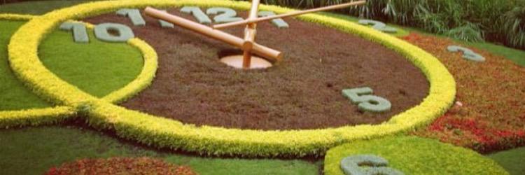 manal_36's profile banner image