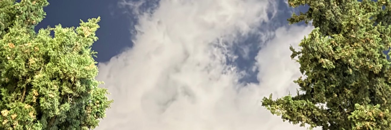 7viiill's profile banner image