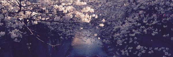kanakiren's profile banner image
