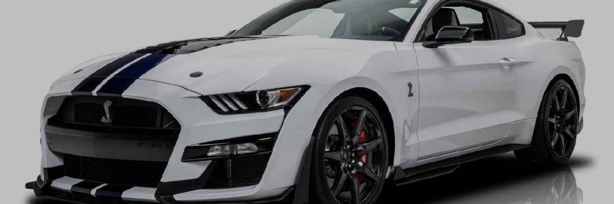 BuzzerVisonic69's profile banner image