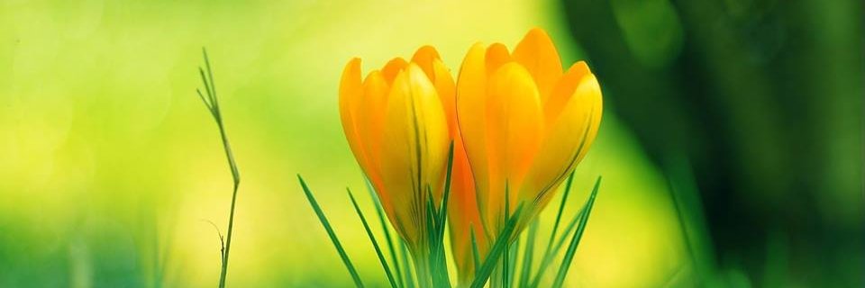 Subhash51054849's profile banner image