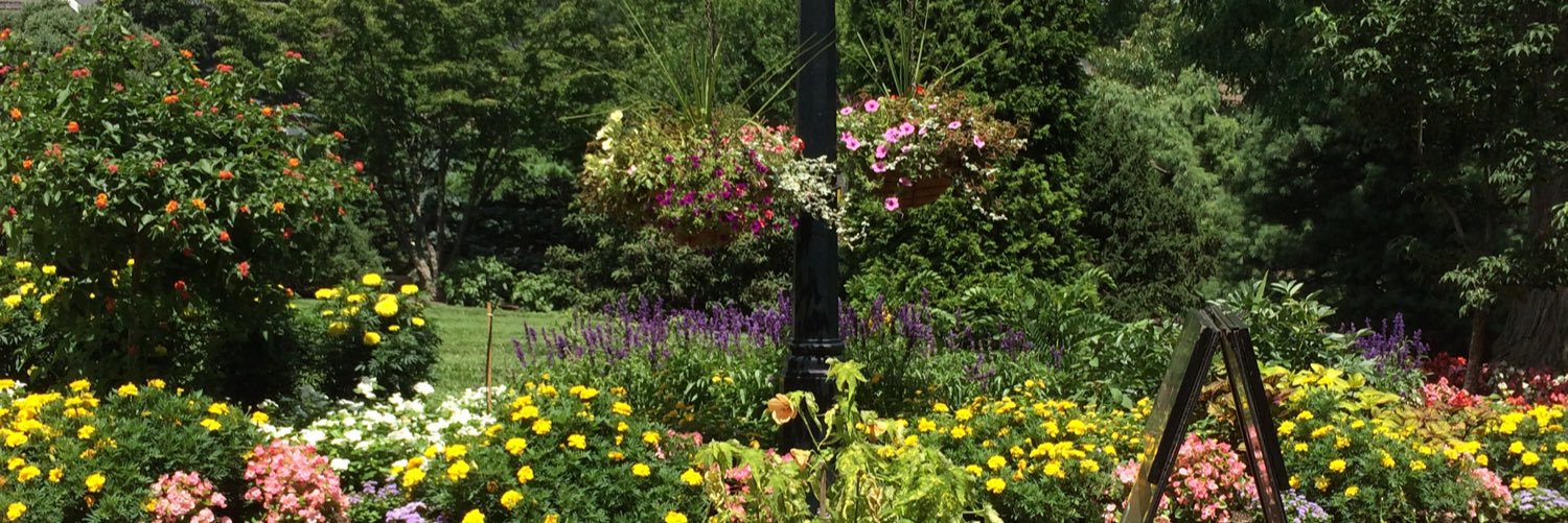 PhyllisJKeulman's profile banner image