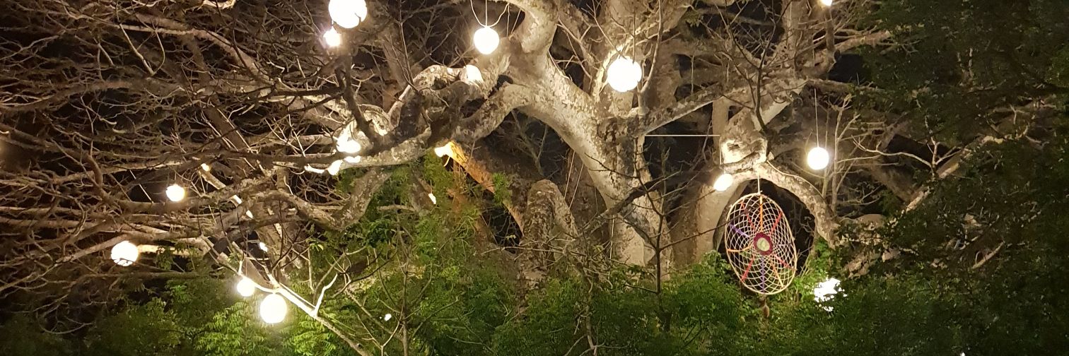 F_Cici9's profile banner image