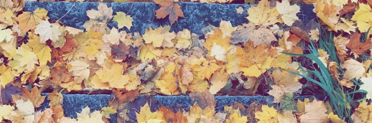 Amina__8's profile banner image