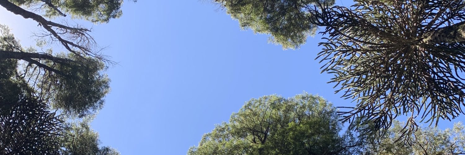 Pameliistica's profile banner image