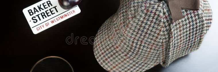 Sherlock Eddy 🧐 banner