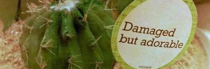 disorienteering's profile banner image