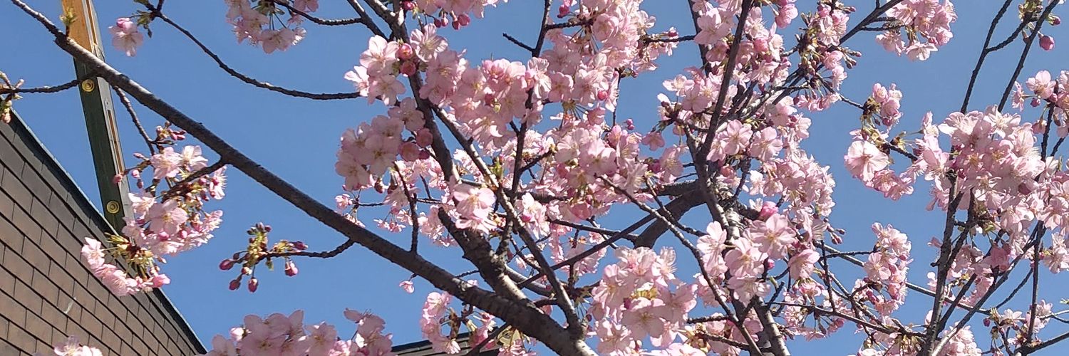___shioO's profile banner image