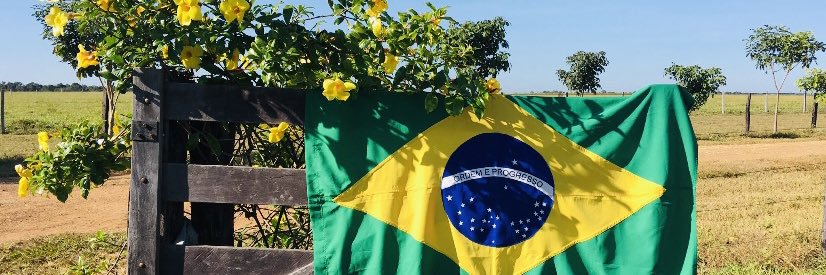 Marinês Araldi's banner