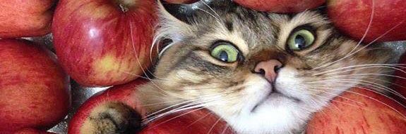 AnnaMcDuff's profile banner image