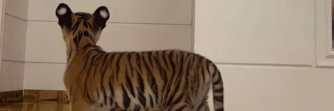 cullluk's profile banner image