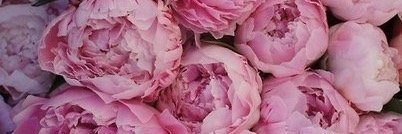 Merry_Verone's profile banner image