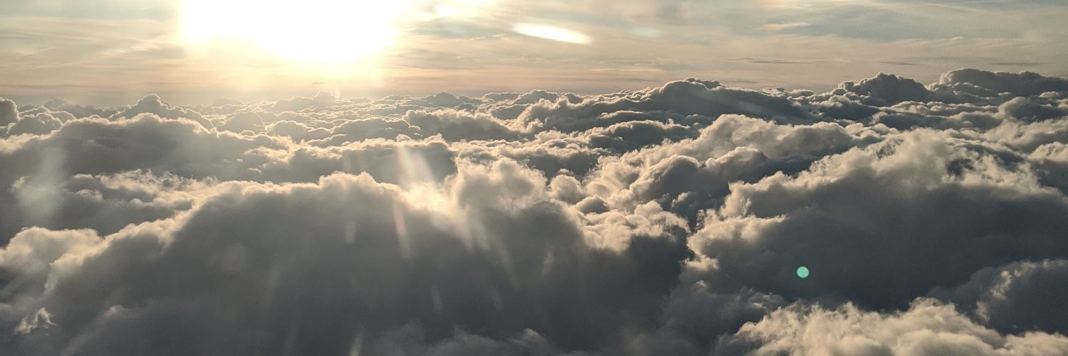 Logan McDonald banner