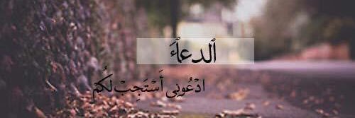 0672496's profile banner image