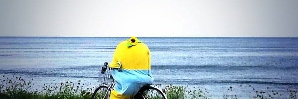 jinnko's profile banner image