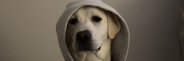 nerualhcel's profile banner image