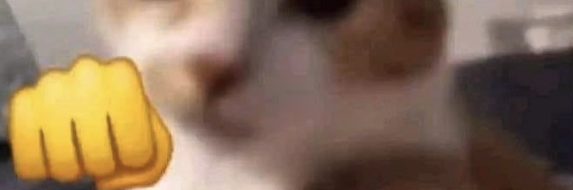 catglum's profile banner image